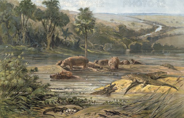 River landscape with animals in central Africa, authentic reproduction of a school mural, historical, around 1900