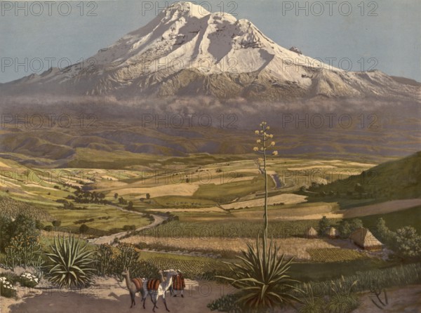 Chimborazo volcano in Ecuador, authentic reproduction of a school mural, historic, around 1900, A snow-covered volcano towers over a picturesque landscape with green fields and animals