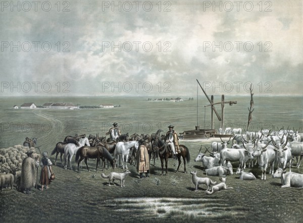 Shepherds with cattle and sheep at a well on the Puszta in Hungary, authentic reproduction of a school mural, historic, around 1900
