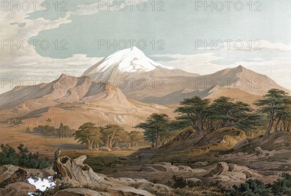 Mount Lebanon, authentic reproduction of a school mural, historical, around 1900