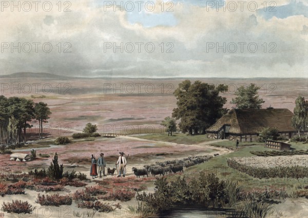 Shepherd in the LÃ¼neburger Heide, Lower Saxony, Germany, authentic reproduction of a school mural, historic, around 1900, idyllic heathland with farmhouse, flock of sheep and people taking a quiet walk