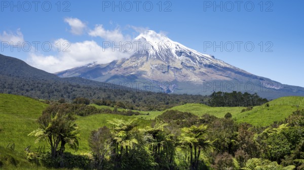 Mount Taranaki, Egmont National Park, Taranaki Region, North Island, New Zealand