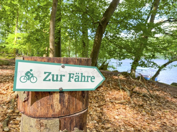 Sign points to the ferry for pedestrians and cyclists at Lake Schmaler Luzin, Hullerbusch Nature Reserve, Carwitz, Feldberger Seenlandschaft, Mecklenburg Lake District in Mecklenburg-Western Pomerania, Germany