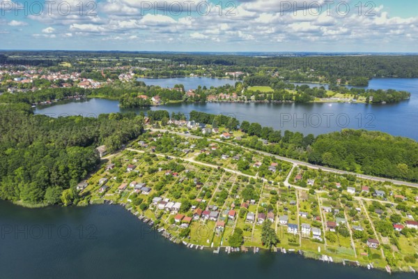 Aerial view, drone photo: Allotment settlement between Feldberger Haussee and Schmaler Luzin, Feldberg, Feldberger Seenlandschaft, Mecklenburg Lake District in Mecklenburg-Western Pomerania, Germany