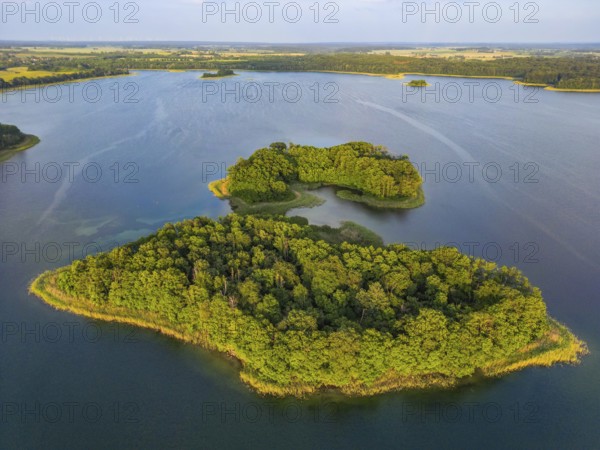 Aerial view, drone photo: Steinwerder and Bollenwerder islands, Carwitzer See, Carwitz, Feldberger Seenlandschaft, Mecklenburg Lake District, Mecklenburg-Western Pomerania, Germany