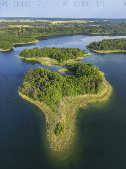 Aerial view, drone photo: Steinwerder and Bollenwerder islands, Carwitzer See, Carwitz, Feldberger Seenlandschaft, Mecklenburg Lake District, Mecklenburg-Western Pomerania, Germany