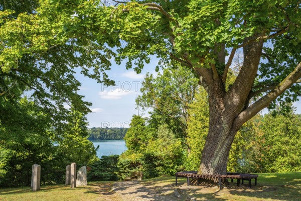 Cemetery in the village of Carwitz, behind the lake Schmaler Luzin, Feldberger Seenlandschaft, Mecklenburg Lake District, Mecklenburg-Western Pomerania, Germany