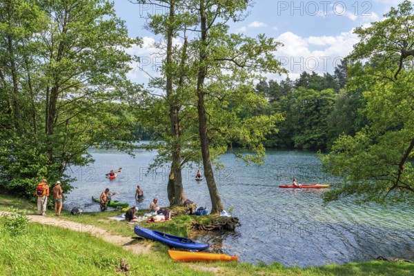 Bathers and paddlers with kayak and SUP at a bathing area on Lake Schmaler Luzin, Hullerbusch Nature Reserve, Carwitz, Feldberger Seenlandschaft, Mecklenburg Lake District in Mecklenburg-Western Pomerania, Germany