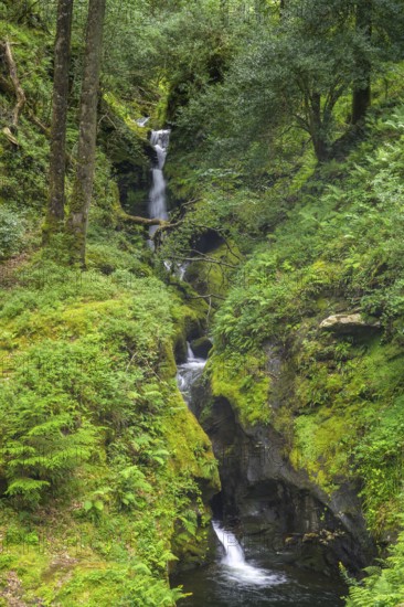 Poulanass Waterfall, Wicklow Mountains National Park, Glendalough, Brockagh, County Wicklow, Ireland