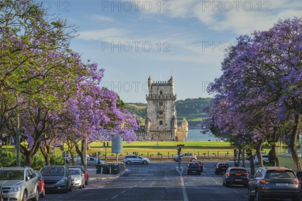 Scenic view of Belem Tower in Lisbon, Portugal, seen over a street with blooming purple jacaranda flower trees street with tourist sailboats on the Tagus River on sunset. Portugal