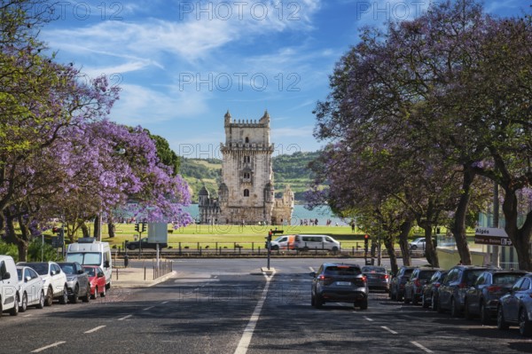 Beautiful Belem Tower stands tall over purple blooming jacarandas on the Tagus River, capturing Lisbon's charm. Belem, Lisbon, Portugal