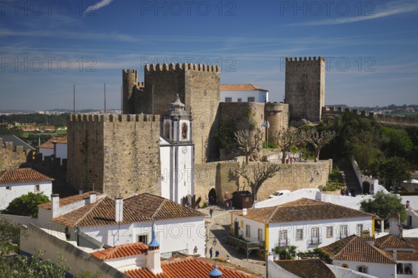 Stunning Obidos medieval castle and surrounding historic houses under a clear blue sky in Portugal