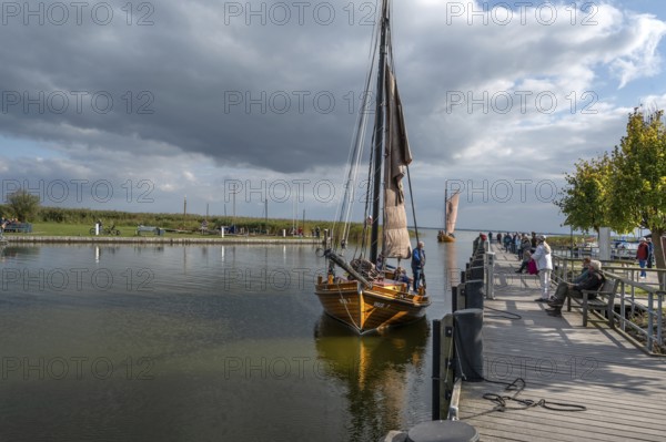 Historic sea boat, formerly used for sailing fishing, arrives at the port of Ahrenshoop, Mecklenburg-Western Pomerania, Germany