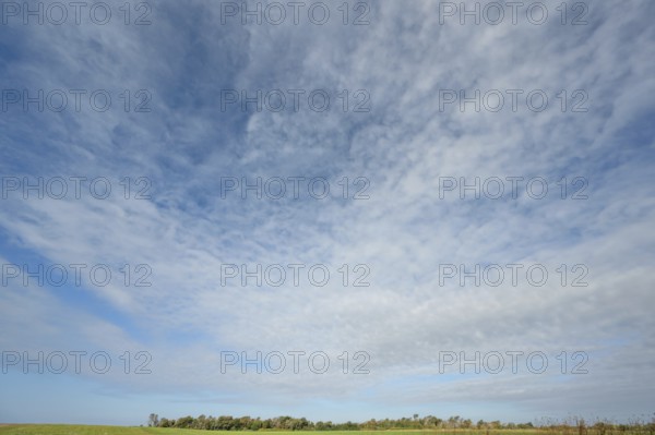 Cloudy sky with landscape, DarÃŸ, Mecklenburg-Western Pomerania, Germany