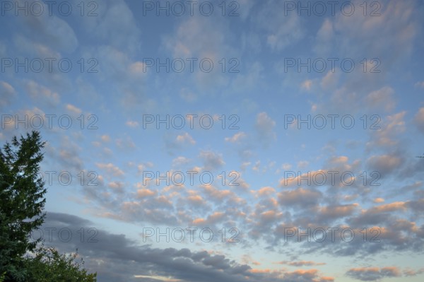 Large fleecy clouds (Altocumulus), Mecklenburg-Vorpommern, Germany