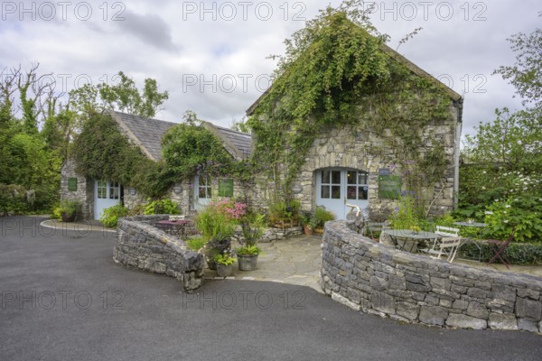 Burren Perfumery Tea Room, Fahee North, Carran, Co. Clare, Ireland