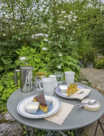 Coffee break in the Burren Perfumery Tea Room, Fahee North, Carran, County Clare, Ireland