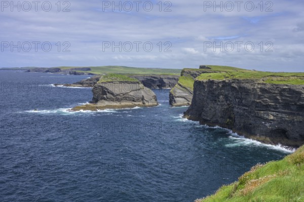 Cliffs of, Kilkee, County Clare, Ireland