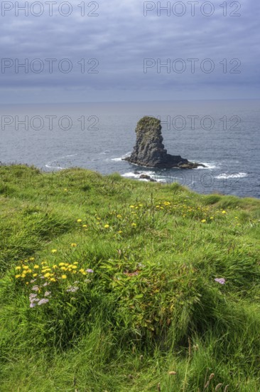 Rock nose in the sea called Candle Stick, Kilkee, County Clare, Ireland