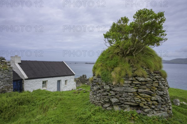 Renovated house, Great Blasket Island, Dunquin, Kerry, Ireland