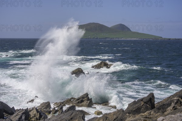 Waves blaze against cliff coast in the background Great Blasket Island, Dunurlin, Kerry, Ireland
