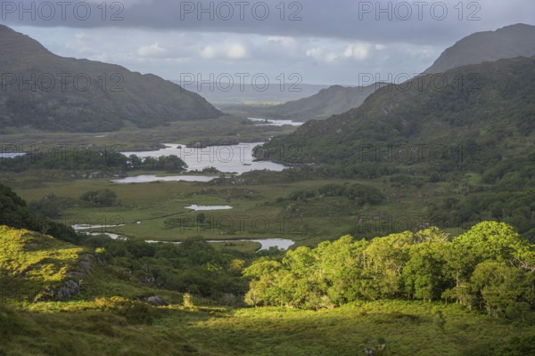 Ladies View, View of Upper Lake, Muckross, Kerry, Ireland