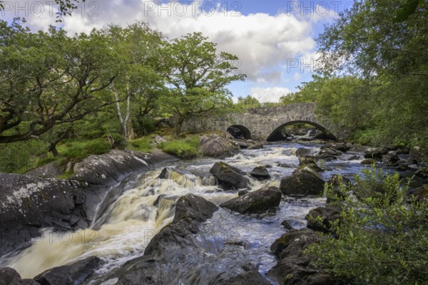 Stream and stone bridge in Killarney National Park, Muckross, Kerry, Ireland