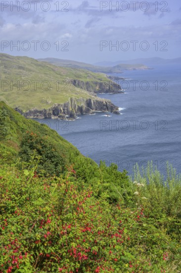 View along the coast, Dzogchen Beara Budistic Centre, Kilnamanagh, County Cork, Ireland