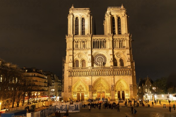 Notre dame cathedral stands illuminated, showing its prominent gothic architecture and intricate details under the night sky in the historic city of paris, france