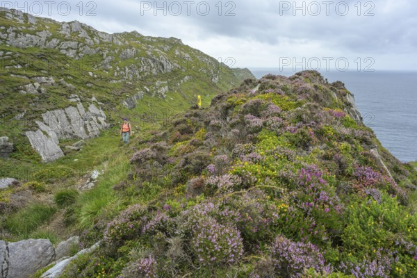 Hiking to the lighthouse of, Sheepshead, County Cork, Ireland