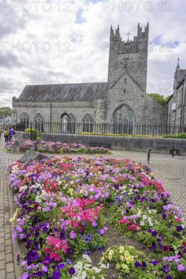 Black Abbey (14th century Dominican church), Kilkenny, County Kilkenny, Ireland