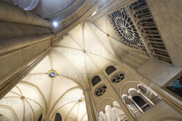 Notre dame cathedral interior ceiling featuring intricate gothic ribbed vaulting, supporting columns, and a large rose window displaying religious artistry and historical construction