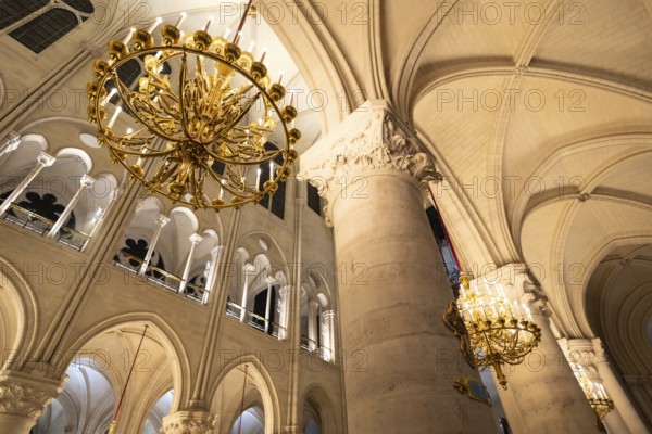 Notre dame cathedral interior showcasing large ornate golden chandeliers illuminating the grand gothic architecture, intricate arches, and towering columns with vaulted ceilings