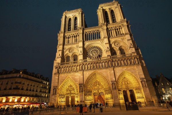 Notre dame de paris cathedral standing illuminated against the dark night sky, showcasing its stunning gothic architecture and intricate facade details