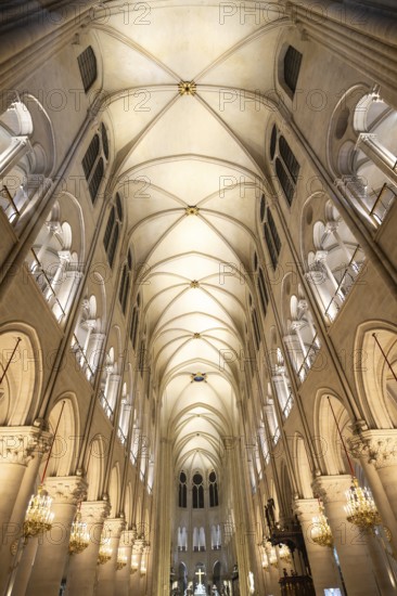 Notre dame cathedral in paris, france, exhibiting its magnificent gothic architecture, vaulted ceilings, and grand nave, reflecting centuries of history and enduring faith