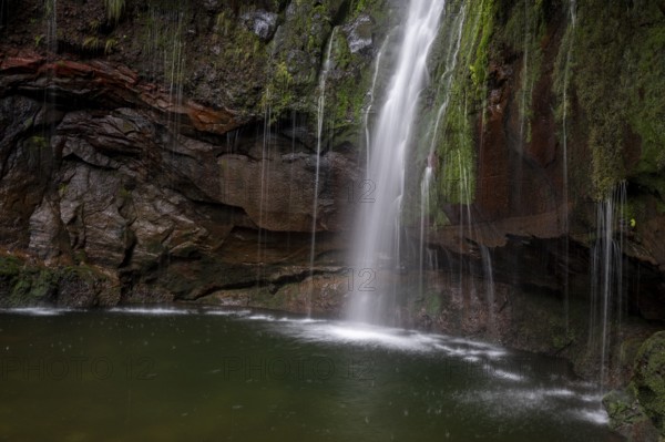 Cascata das 25 Fontes river and waterfall, 25 springs, hiking trail PR6, Levada das 25 Fontes, laurel forest, Rabacal Nature Reserve, Madeira, Portugal