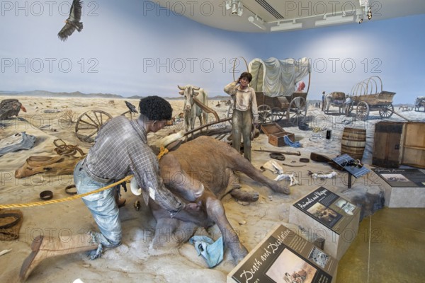 Elko, Nevada - The California Trail Interpretive Center tells the story of the emigrants who traveled nearly 2, 000 miles on the Trail across the continent in the mid-19th century