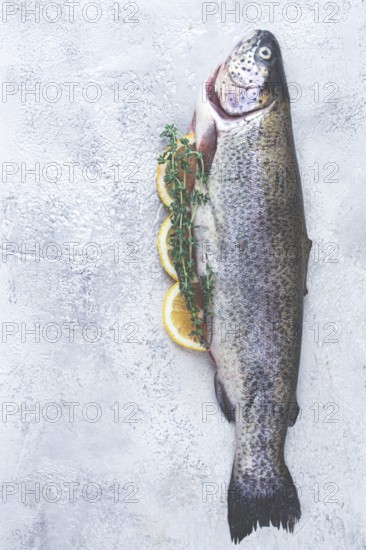 Freshly caught rainbow trout with herbs and citrus arranged on a light textured surface