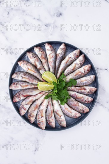 Fresh mullet fish, laid out on a large platter, garnished with lime slices and cilantro, top view