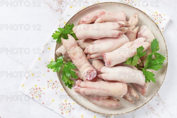Pork trotters arranged on a plate with fresh parsley on a white background