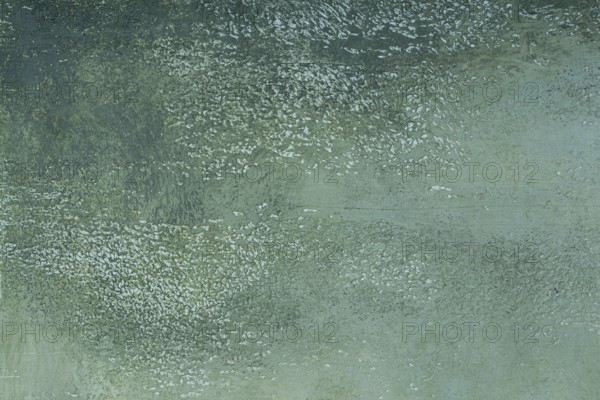 Photo background, colored, textured, heterogeneous background, wallpaper, surface, Dirty green, gradient shade