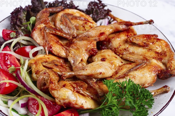 Baked quail, served on a plate with crispy lettuce leaves, fresh tomatoes and herbs, on a white plate, homemade