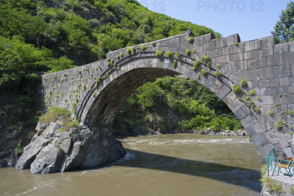 Historic stone bridge with vegetation spanning arches, river flowing below, Sanahin bridge across Debed river, Alaverdi, Alaverdi, Lorikeet province, Armenia