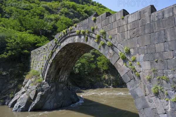 Old stone bridge with vegetation surrounded by a river in natural surroundings, Sanahin bridge across the Debed river, Alaverdi, Alaverdi, Lorikeet province, Armenia
