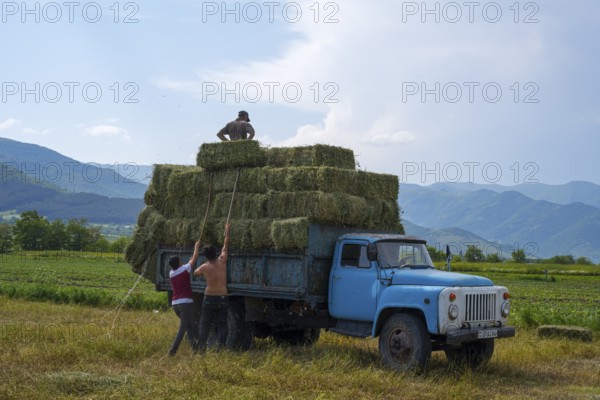 A blue truck is loaded with hay bales, located in a field in front of a panorama of hills, vintage car, GAZ-53, Lorikeet province, Armenia
