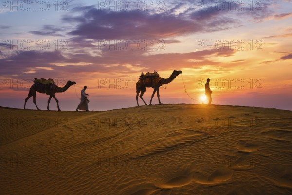 Indian cameleers camel drivers bedouin with camel silhouettes in sand dunes of Thar desert on sunset. Caravan in Rajasthan travel tourism background safari adventure. Jaisalmer, Rajasthan, India