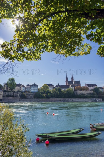 The Rhine with rowing boats in the sunshine in the late afternoon, Basel
