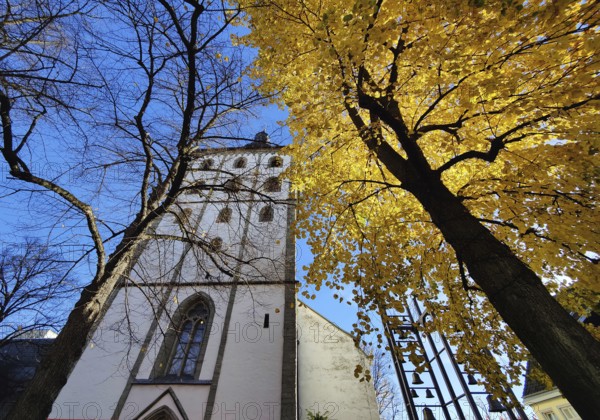 Jakobikirche im Herbst, Lippstadt, North Rhine-Westphalia, Germany