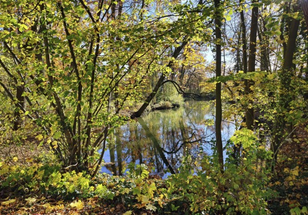 The River Lippe, GrÃ¼ner Winkel, LaumannshÃ¼gel, Lippeaue, Lippstadt, North Rhine-Westphalia, Germany