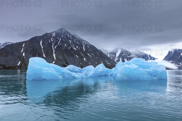 Ice floes calved from Lilliehöökbreen glacier drifting in the Lilliehöökfjorden, fjord branch of Krossfjorden in Albert I Land, Spitsbergen / Svalbard